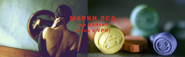 сатива Гатчина