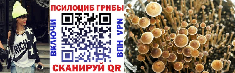 Псилоцибиновые грибы GOLDEN TEACHER  купить наркотики сайты  Луховицы 